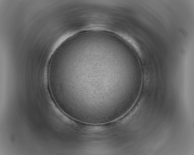 X0000113961382200909251351