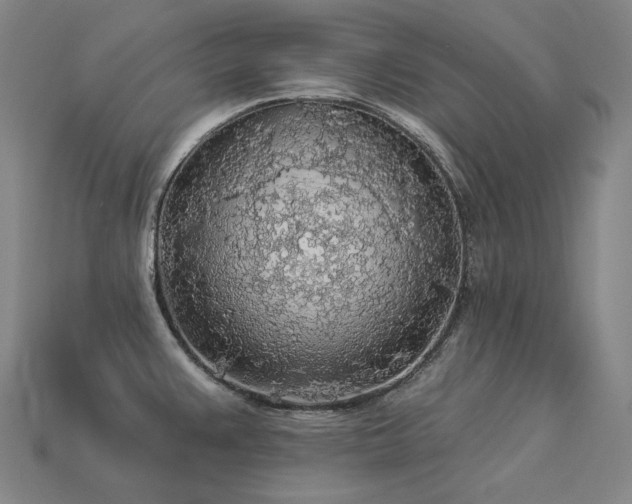 X0000113961383200909251351