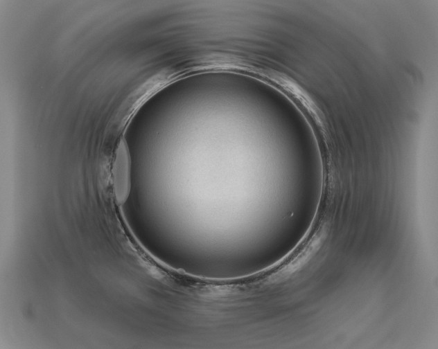 X0000113961385200909251351