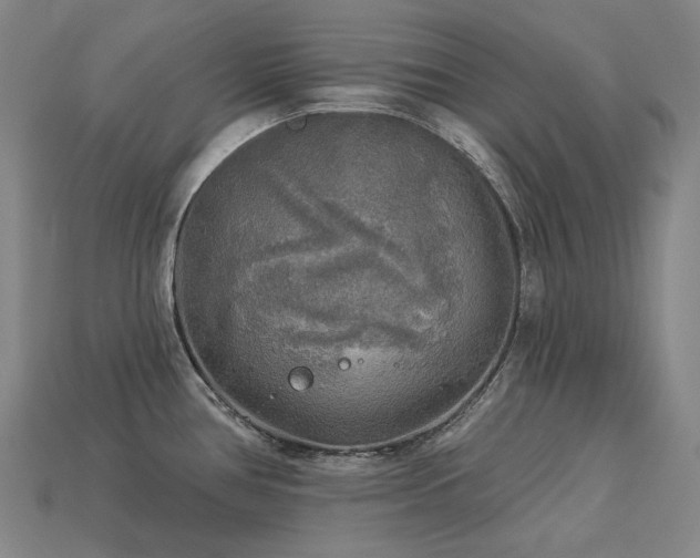 X0000113961386200909251351