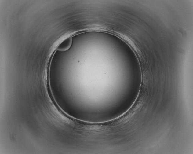 X0000113961387200909251351