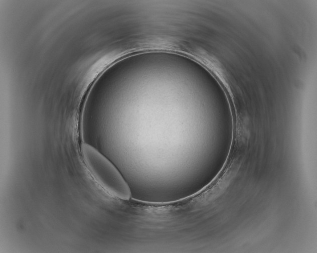 X0000113961389200909251351