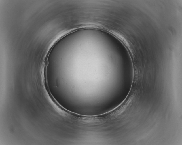 X0000113961391200909251351