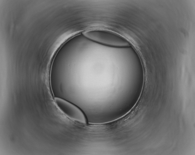 X0000113961392200909251351