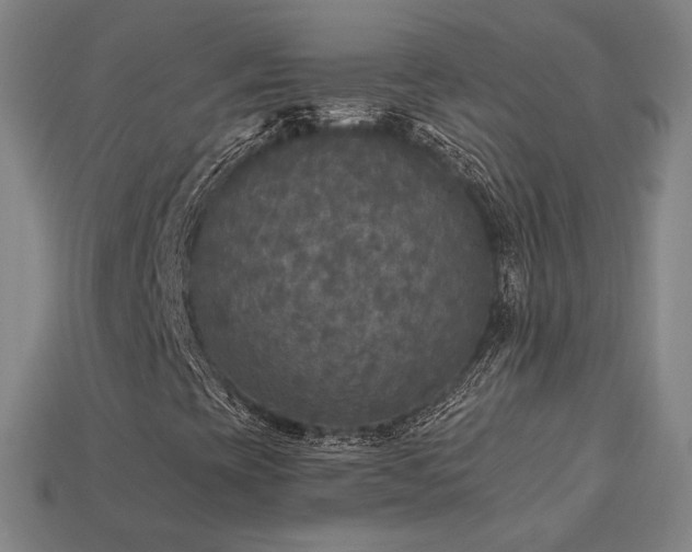 X0000113961393200909251350