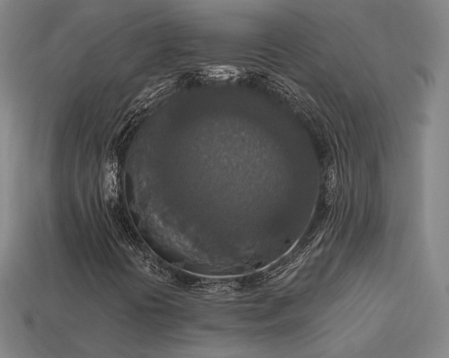 X0000113961394200909251350