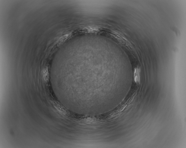 X0000113961395200909251350
