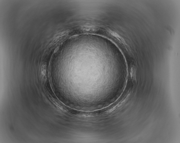 X0000113961396200909251350