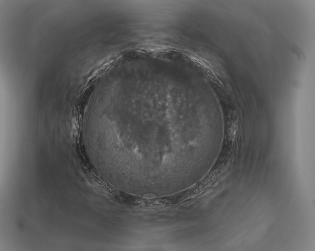 X0000113961397200909251350