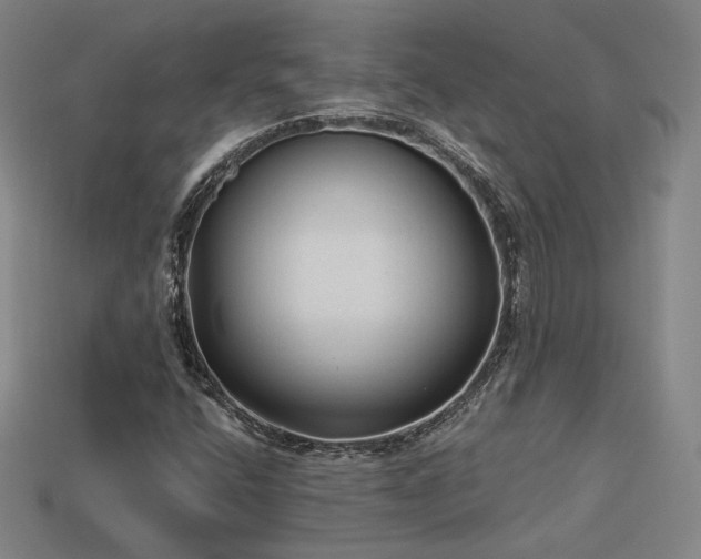 X0000113961400200909251350