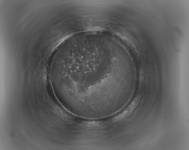 X0000113961401200909251350