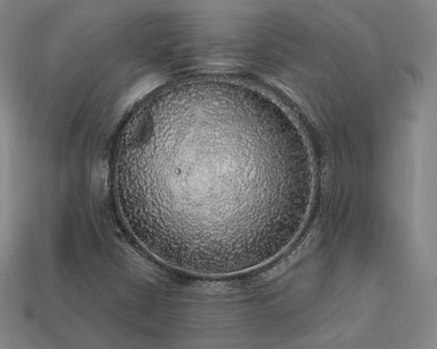 X0000113961402200909251350