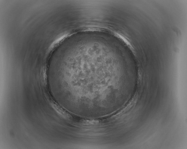 X0000113961403200909251350