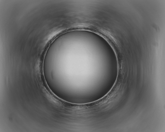 X0000113961404200909251350