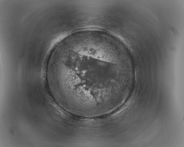X0000113961405200909251350