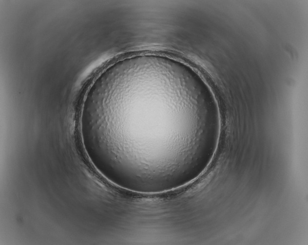 X0000113961406200909251350
