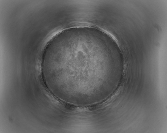 X0000113961407200909251350