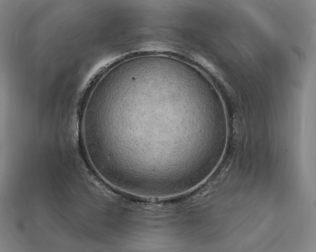 X0000113961408200909251350