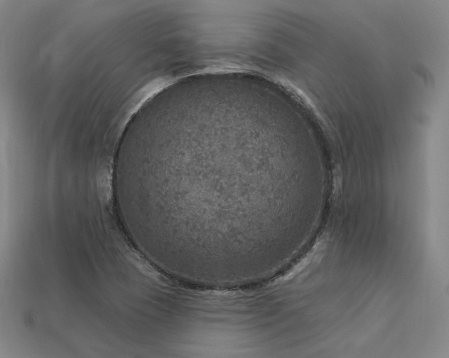 X0000113961409200909251350