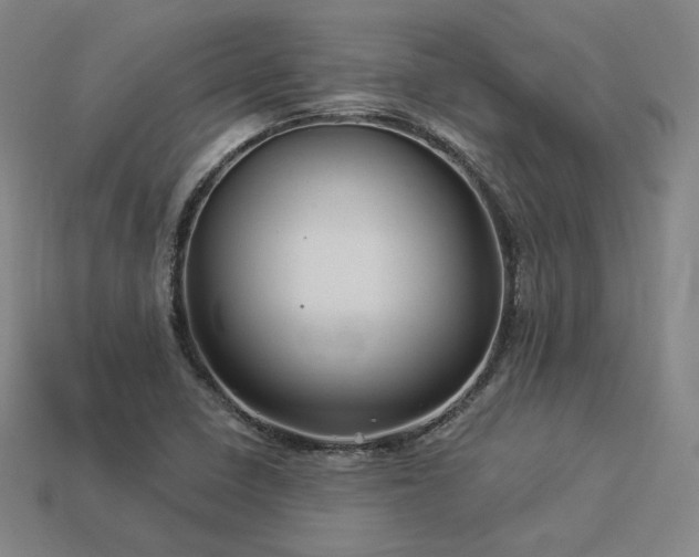 X0000113961410200909251350