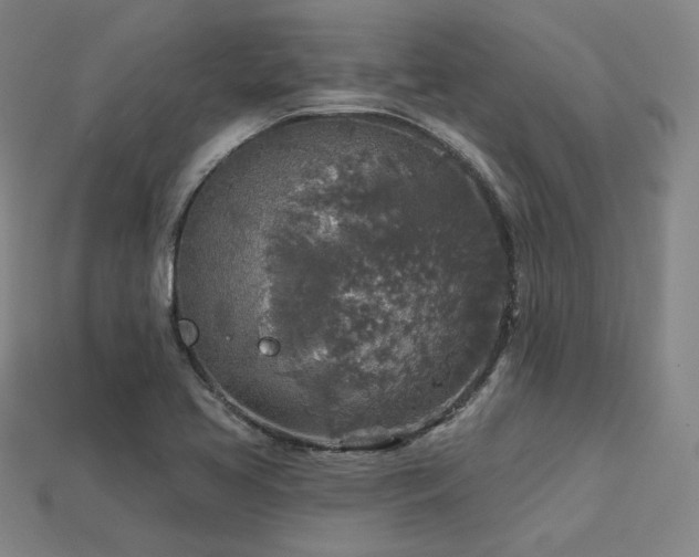 X0000113961413200909251350