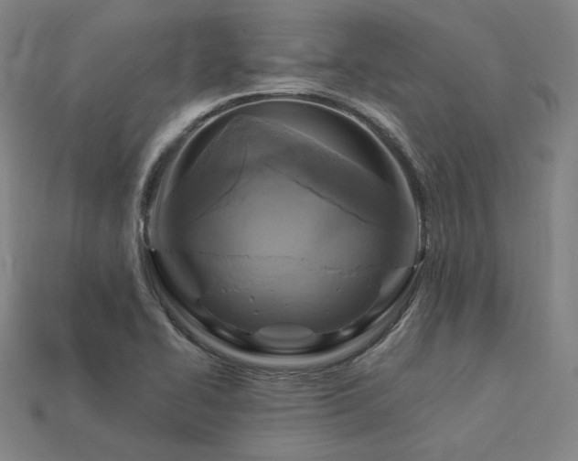 X0000113961414200909251350