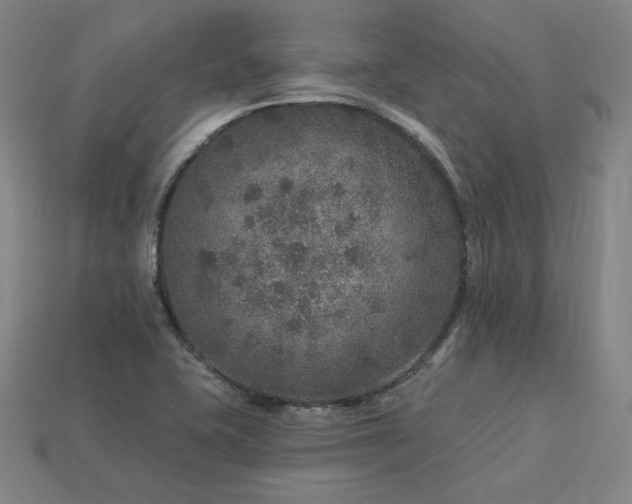 X0000113961415200909251350
