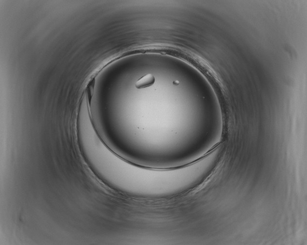 X0000113961417200909251350
