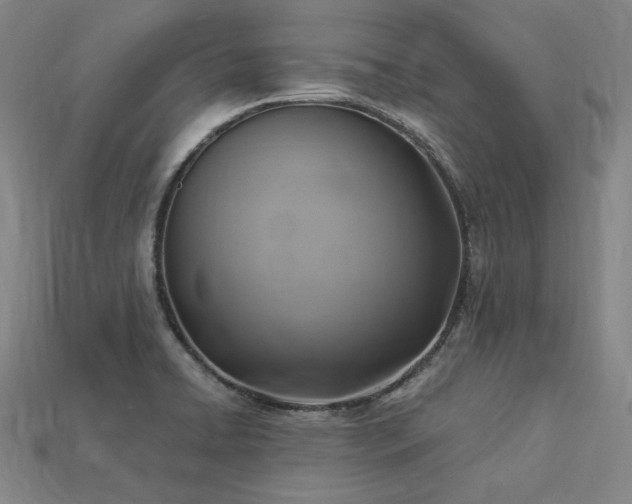 X0000113961422200909251350