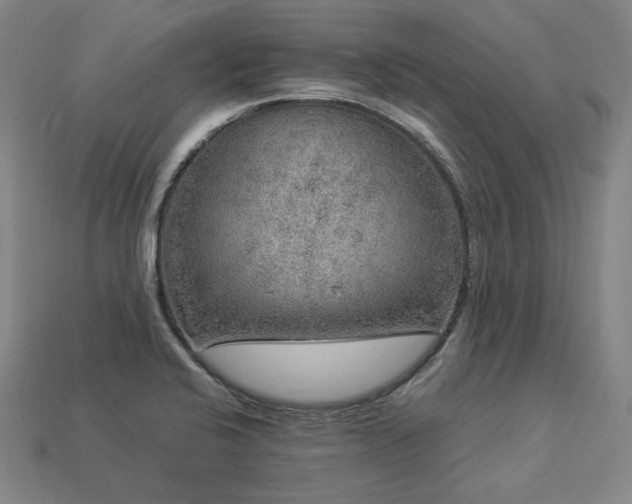 X0000113961424200909251350