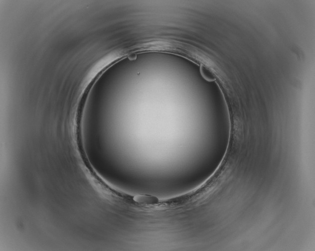 X0000113961426200909251350