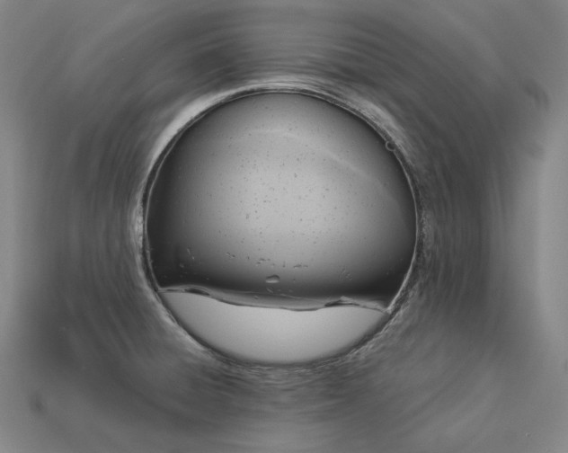 X0000113961428200909251350