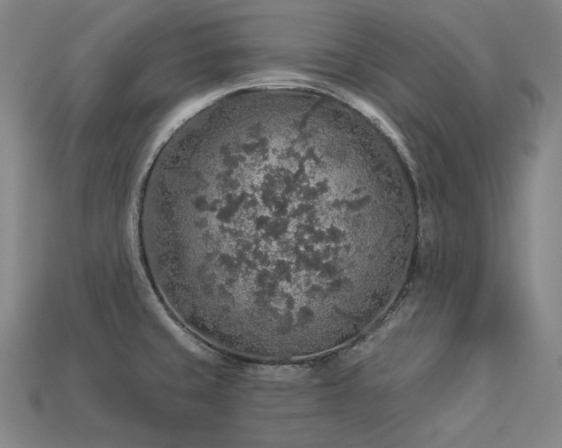 X0000113961429200909251350