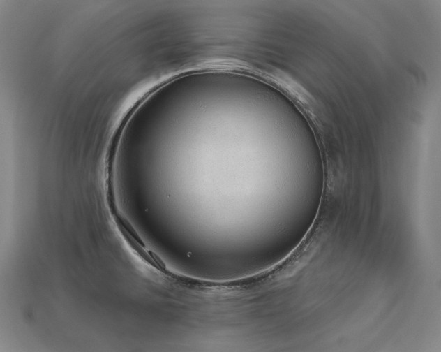 X0000113961430200909251350