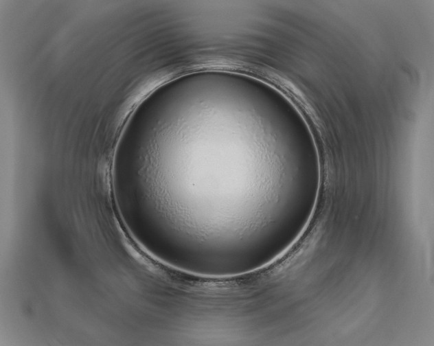 X0000113961433200909251351