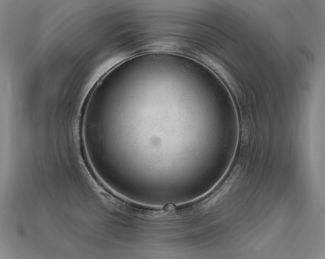 X0000113961434200909251351