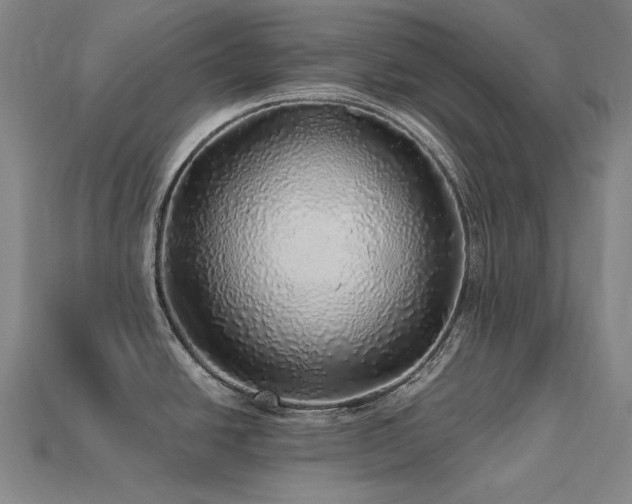 X0000113961438200909251351