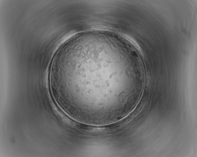 X0000113961439200909251351
