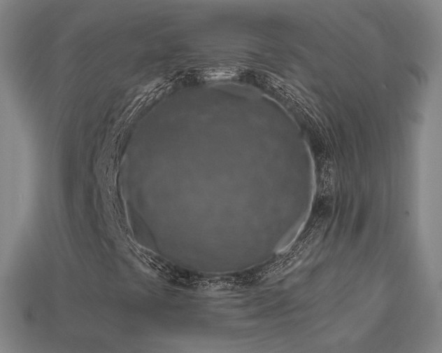 X0000113961441200909251350