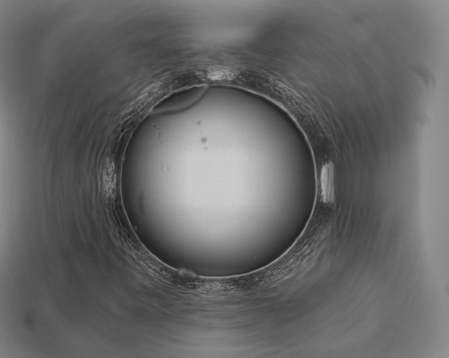 X0000113961443200909251350