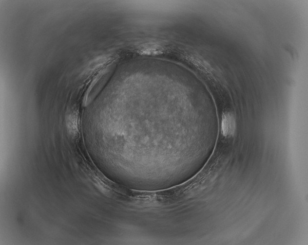 X0000113961444200909251350