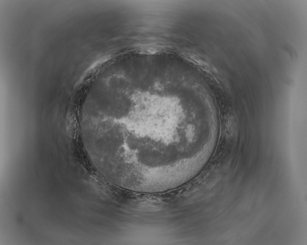 X0000113961446200909251350
