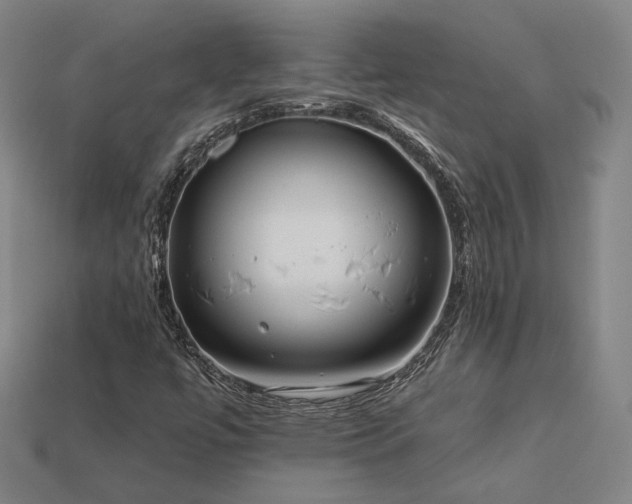 X0000113961447200909251350