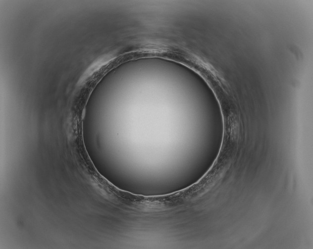 X0000113961448200909251350