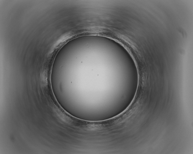 X0000113961451200909251350