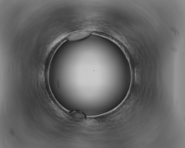 X0000113961452200909251350