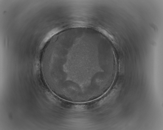 X0000113961453200909251350