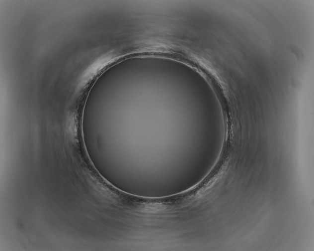 X0000113961455200909251350