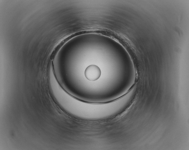 X0000113961457200909251350