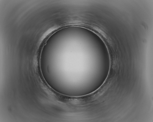 X0000113961458200909251350